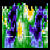 [Radar image of Kelvin-Helmholts waves.]