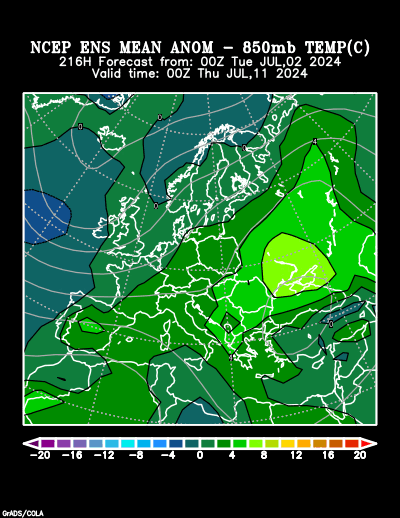 NCEP Ensemble t = 216 hour forecast product