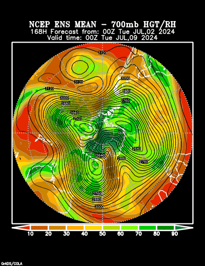 NCEP Ensemble t = 168 hour forecast product