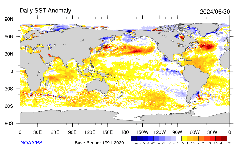 Global daily SST anomaly