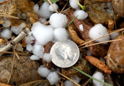 hail photo