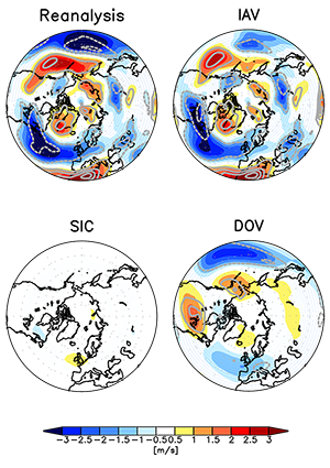 This study finds that the weakening of the jet stream over the North Atlantic region (top left panel, “Reanalysis”) since 1979, is primarily driven by a combination of atmospheric variations (top right panel, “IAV”) and decade-long sea surface temperature fluctuations (bottom right panel, “DOV”), while contributions from Arctic sea ice loss (bottom left panel, “SIC”) are quite small.