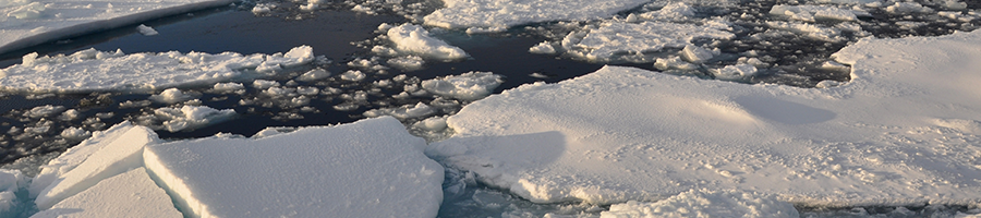 Arctic Ocean ice Sept. 9, 2009. (Credit: USGS by Patrick Kelley, U.S. Coast Guard)