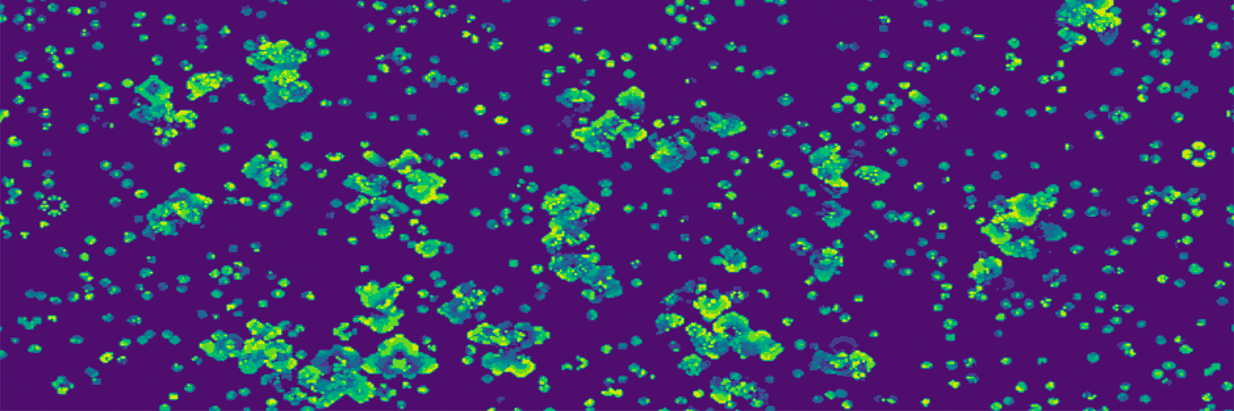 Snapshot of cellular automata model displaying self-organization on various scales.		