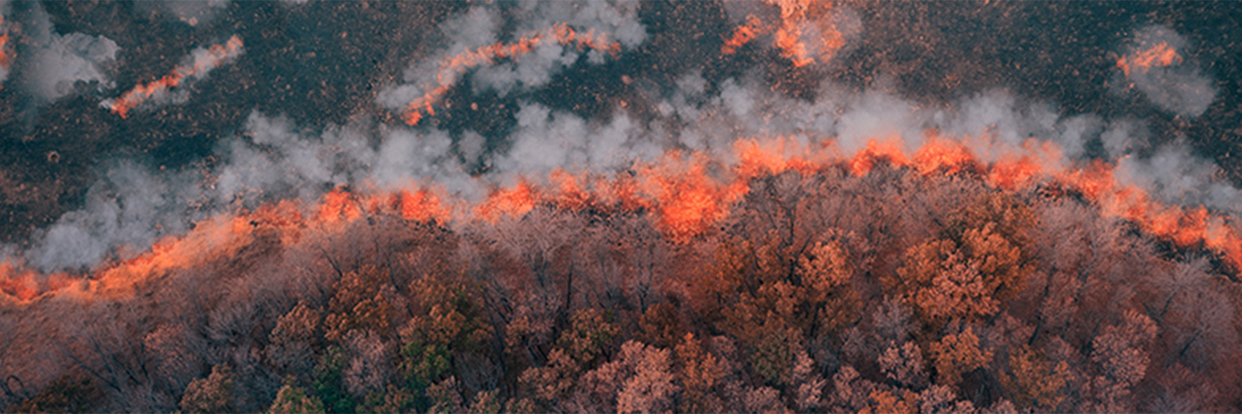 A forest fire line is shown from above at dusk. Credit: Adobe Stock