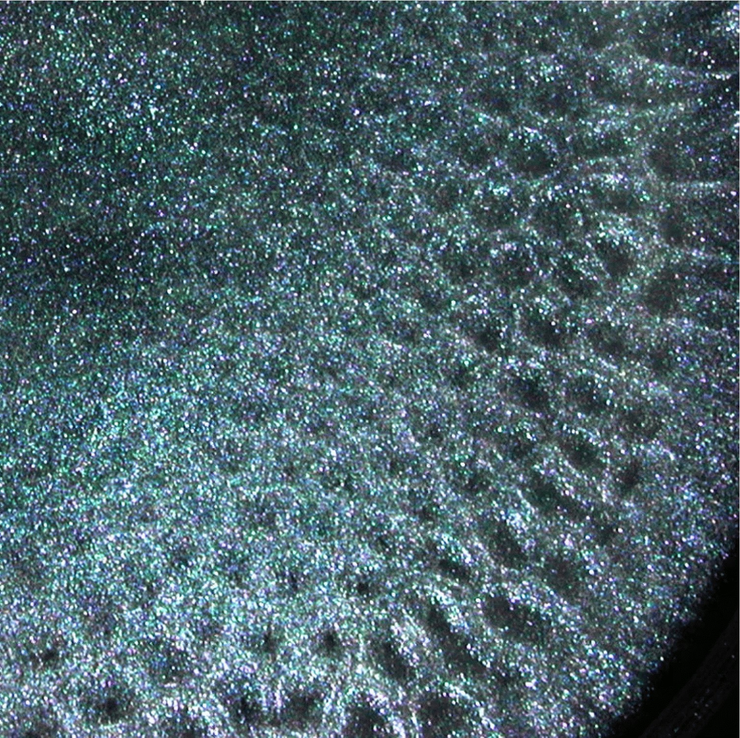 Image
of convection cells formed in silicone oil