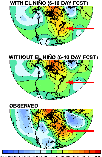 500 mb height anomalies for forecasts and observations verifying the first week of January 1998