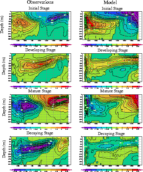 Observed and simulated ocean temperature anomalies during El Niño