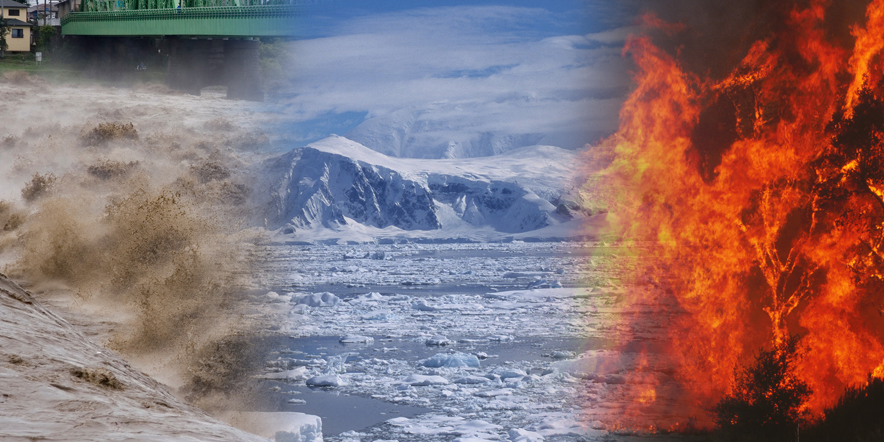 Image of flood waters, polar ice sheets, and a forest fire.