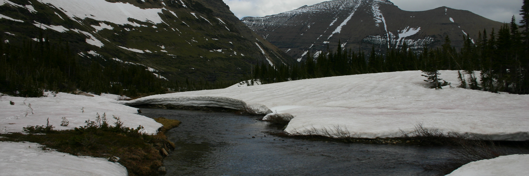 Snow Melts into River near Iceberg Lake in Glacier National Park. Credit: Wing-Chi Poon (CC BY-SA 2.5)