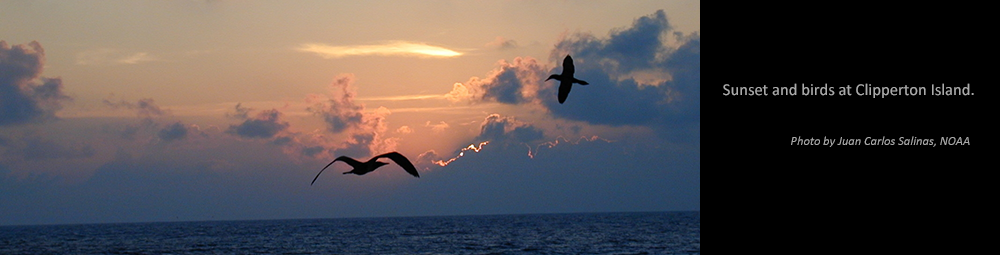 Sunset and birds at Clipperton Island. Credit: Juan Carlos Salinas, NOAA